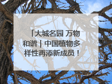 大城名园 万物和谐｜中国植物多样性再添新成员！它只在西藏墨脱