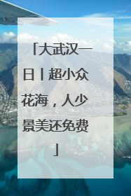 大武汉一日丨超小众花海，人少景美还免费