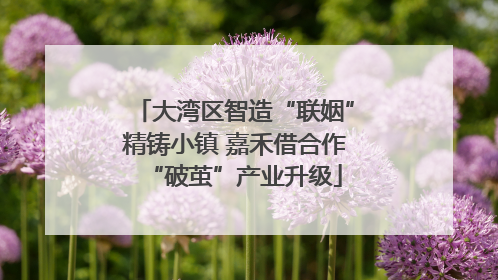 大湾区智造“联姻”精铸小镇 嘉禾借合作“破茧”产业升级