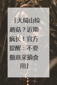 大蜀山捡蘑菇？近期疯长！官方提醒：不要随意采摘食用
