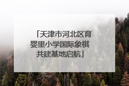 天津市河北区育婴里小学国际象棋共建基地启航