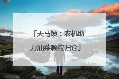 天马镇：农机助力油菜颗粒归仓