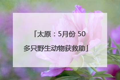 太原：5月份 50多只野生动物获救助