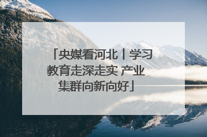 央媒看河北丨学习教育走深走实 产业集群向新向好