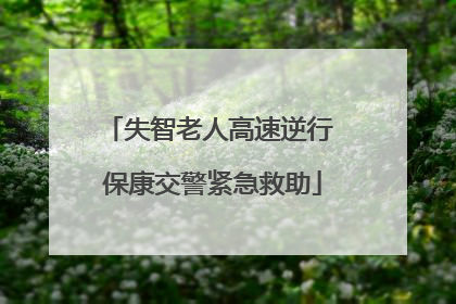 失智老人高速逆行 保康交警紧急救助