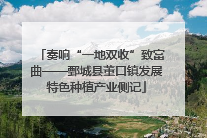奏响“一地双收”致富曲——鄄城县董口镇发展特色种植产业侧记