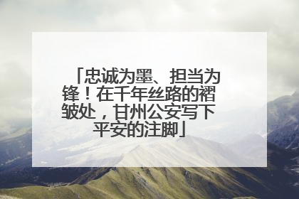 忠诚为墨、担当为锋！在千年丝路的褶皱处，甘州公安写下平安的注脚