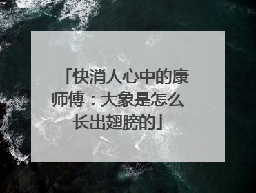 快消人心中的康师傅：大象是怎么长出翅膀的