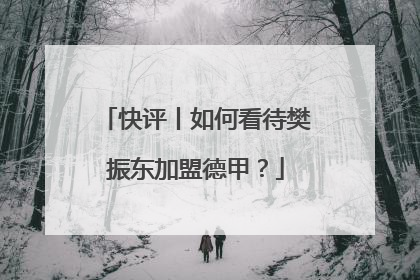 快评丨如何看待樊振东加盟德甲？