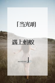 当光明遇上蚂蚁……