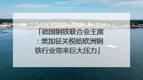 德国钢铁联合会主席：美加征关税给欧洲钢铁行业带来巨大压力