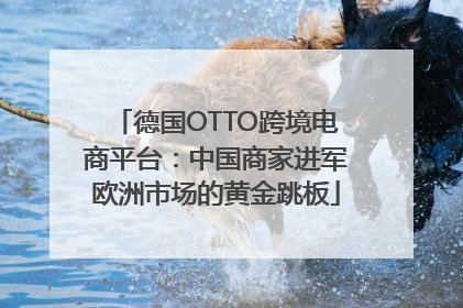 德国OTTO跨境电商平台：中国商家进军欧洲市场的黄金跳板