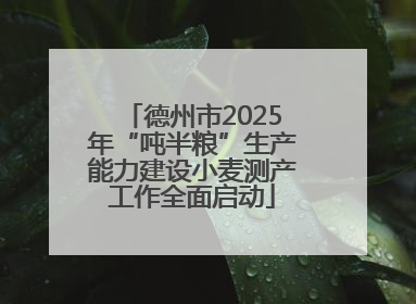 德州市2025年“吨半粮”生产能力建设小麦测产工作全面启动