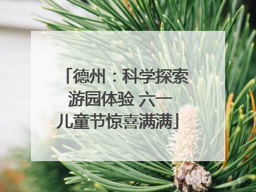 德州：科学探索 游园体验 六一儿童节惊喜满满