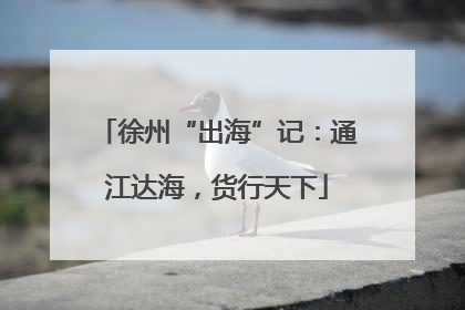 徐州“出海”记：通江达海，货行天下