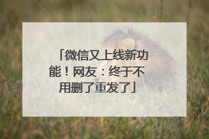微信又上线新功能！网友：终于不用删了重发了