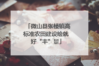 微山县张楼镇高标准农田建设绘就好“丰”景