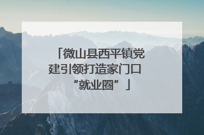 微山县西平镇党建引领打造家门口“就业圈”