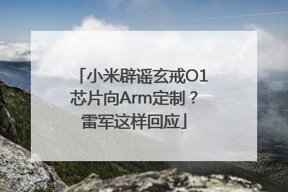 小米辟谣玄戒O1芯片向Arm定制？雷军这样回应