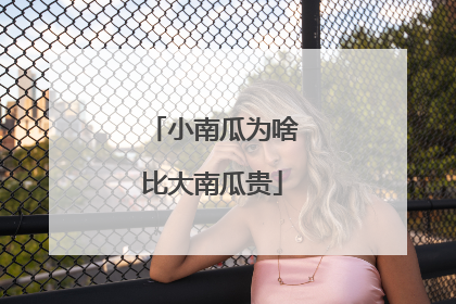 小南瓜为啥比大南瓜贵