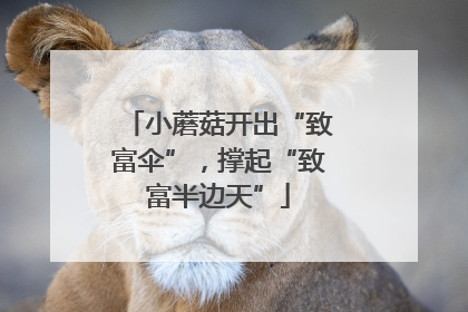 小蘑菇开出“致富伞”，撑起“致富半边天”