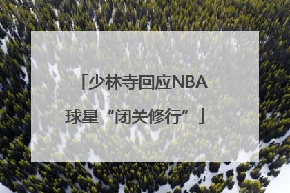 少林寺回应NBA球星“闭关修行”
