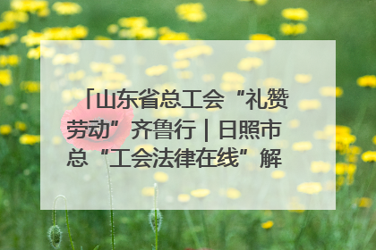 山东省总工会“礼赞劳动”齐鲁行｜日照市总“工会法律在线”解决职工愁“薪”事