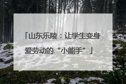 山东乐陵：让学生变身爱劳动的“小能手”