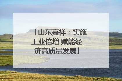 山东嘉祥：实施工业倍增 赋能经济高质量发展