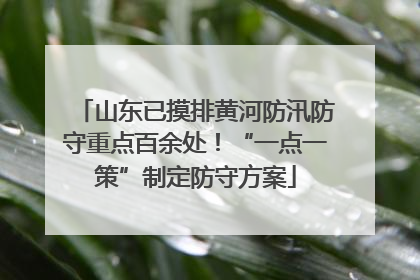 山东已摸排黄河防汛防守重点百余处！“一点一策”制定防守方案