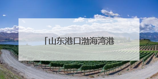 山东港口渤海湾港滨州港区港华码头迎来入夏生产小高峰