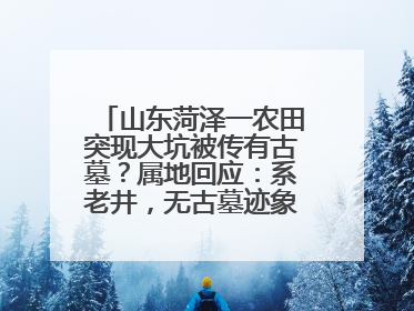 山东菏泽一农田突现大坑被传有古墓？属地回应：系老井，无古墓迹象，已回填
