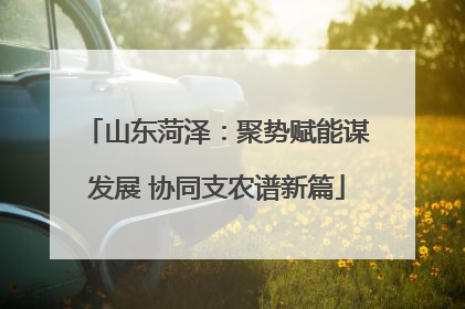山东菏泽：聚势赋能谋发展 协同支农谱新篇