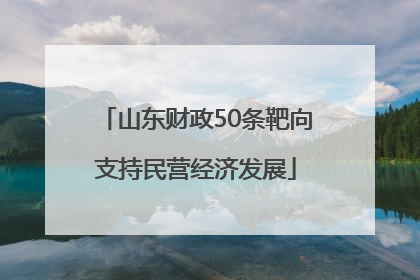 山东财政50条靶向支持民营经济发展