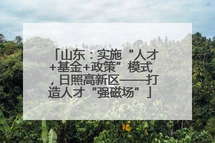 山东：实施“人才+基金+政策”模式，日照高新区——打造人才“强磁场”