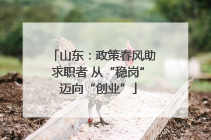 山东：政策春风助求职者 从“稳岗”迈向“创业”