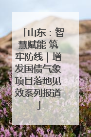 山东：智慧赋能 筑牢防线｜增发国债气象项目落地见效系列报道
