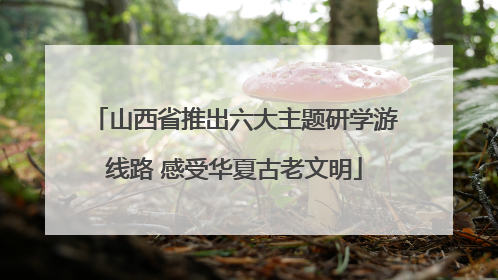 山西省推出六大主题研学游线路 感受华夏古老文明