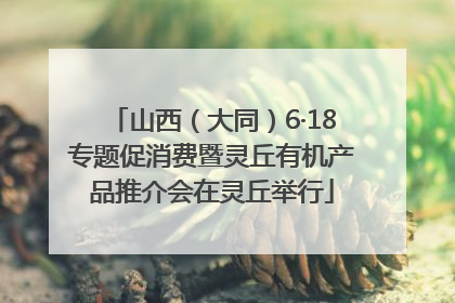 山西（大同）6·18专题促消费暨灵丘有机产品推介会在灵丘举行