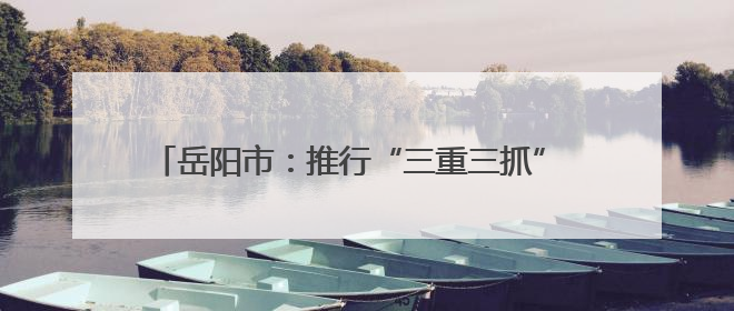 岳阳市：推行“三重三抓” 扎实推进农村“厕所革命”