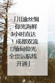 川渝丝绸、仰光海鲜3小时直达！成都双流⇌缅甸仰光全货运航线开通