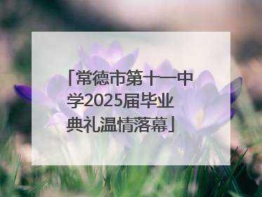 常德市第十一中学2025届毕业典礼温情落幕