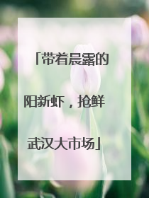 带着晨露的阳新虾，抢鲜武汉大市场