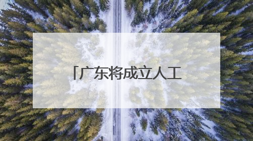 广东将成立人工智能与机器人产业联盟 加速产业链整合与技术攻关