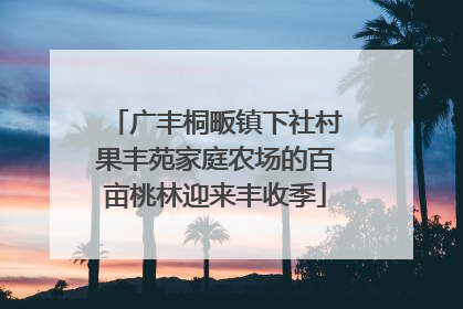 广丰桐畈镇下社村果丰苑家庭农场的百亩桃林迎来丰收季