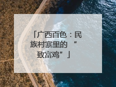 广西百色：民族村寨里的 “致富鸡”