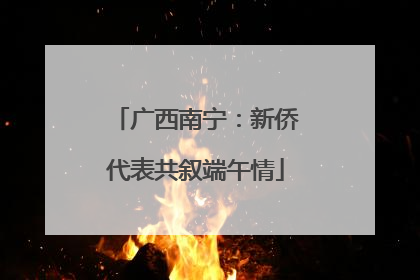 广西南宁：新侨代表共叙端午情