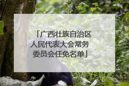 广西壮族自治区人民代表大会常务委员会任免名单