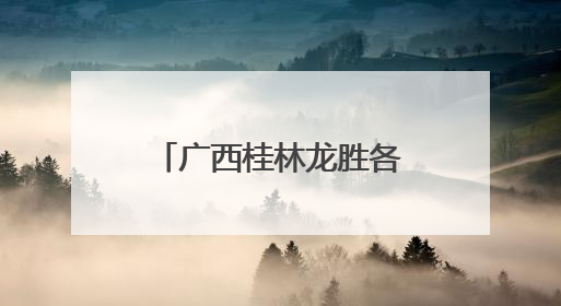 广西桂林龙胜各族自治县市场监督管理局2025年第1期食品安全监督抽检信息公告