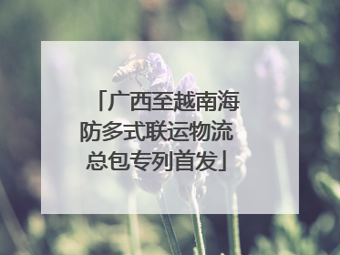 广西至越南海防多式联运物流总包专列首发